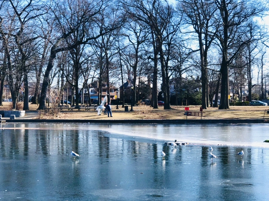 IMG_7818.jpg?type=w966