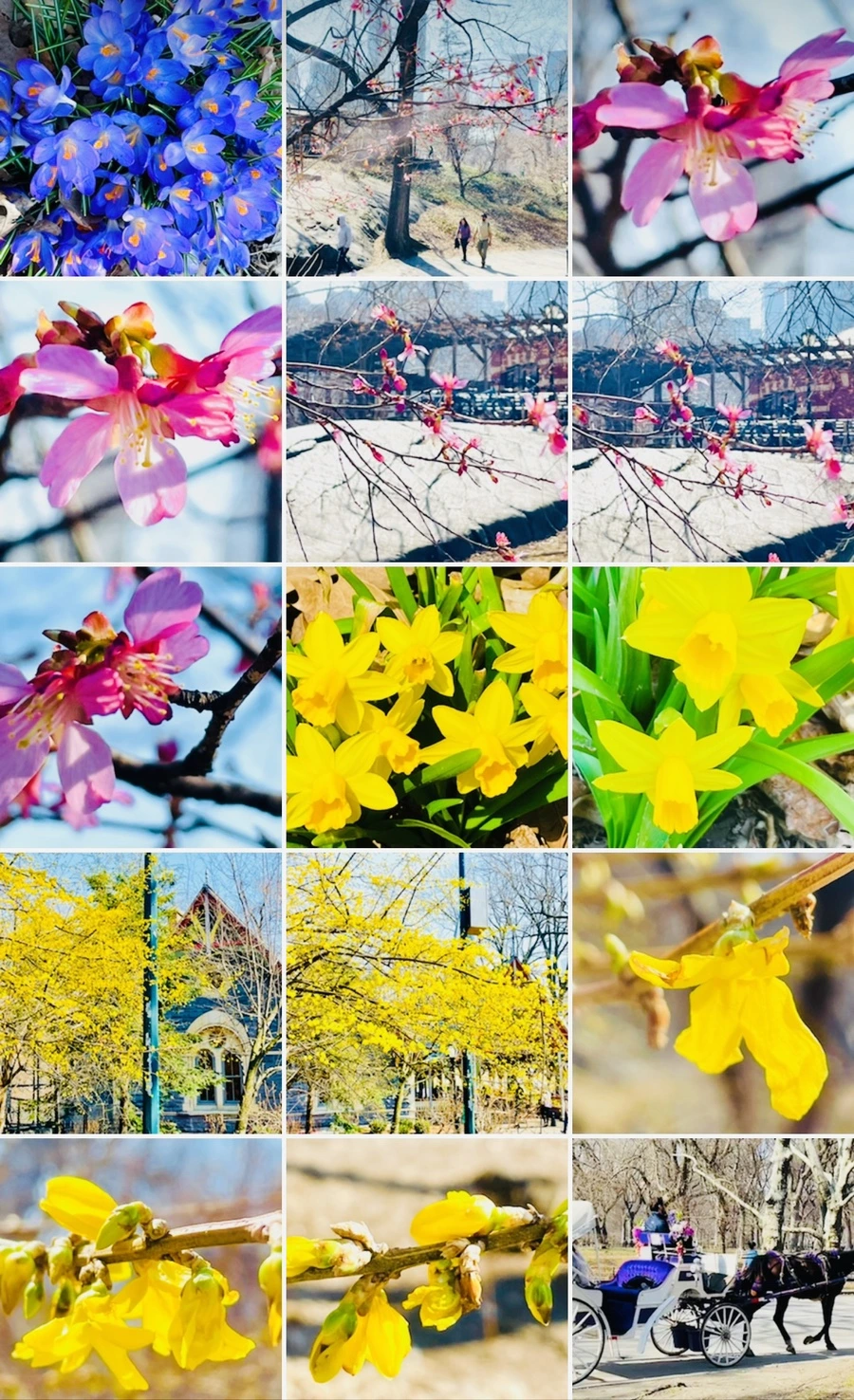 IMG_5669.jpg?type=w966