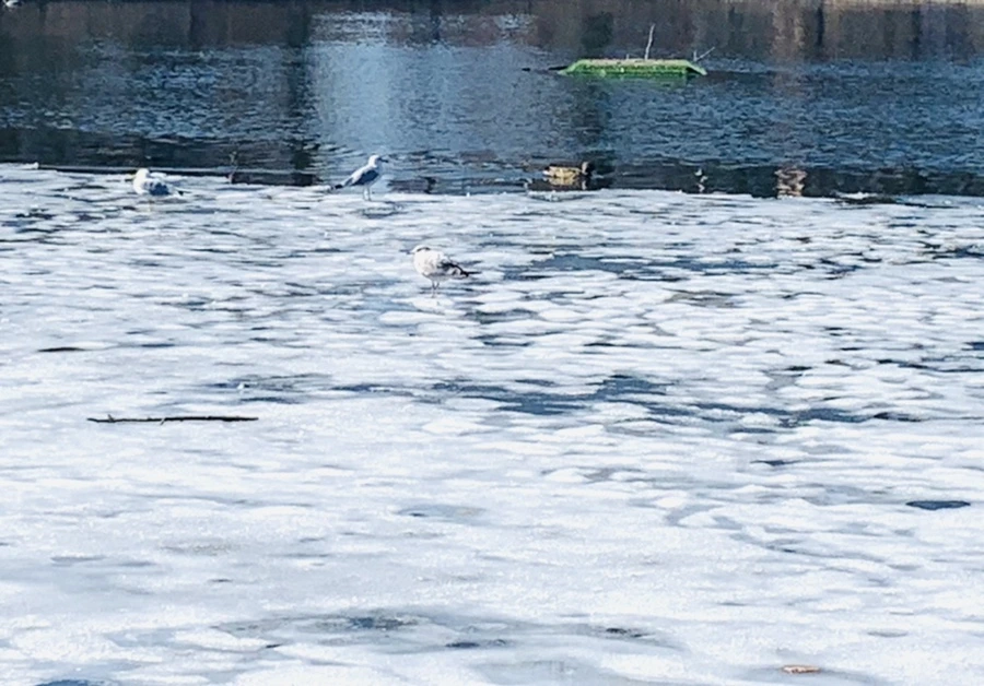 IMG_6955.jpg?type=w966