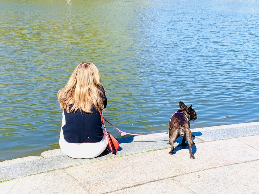 IMG_6023.jpg?type=w966