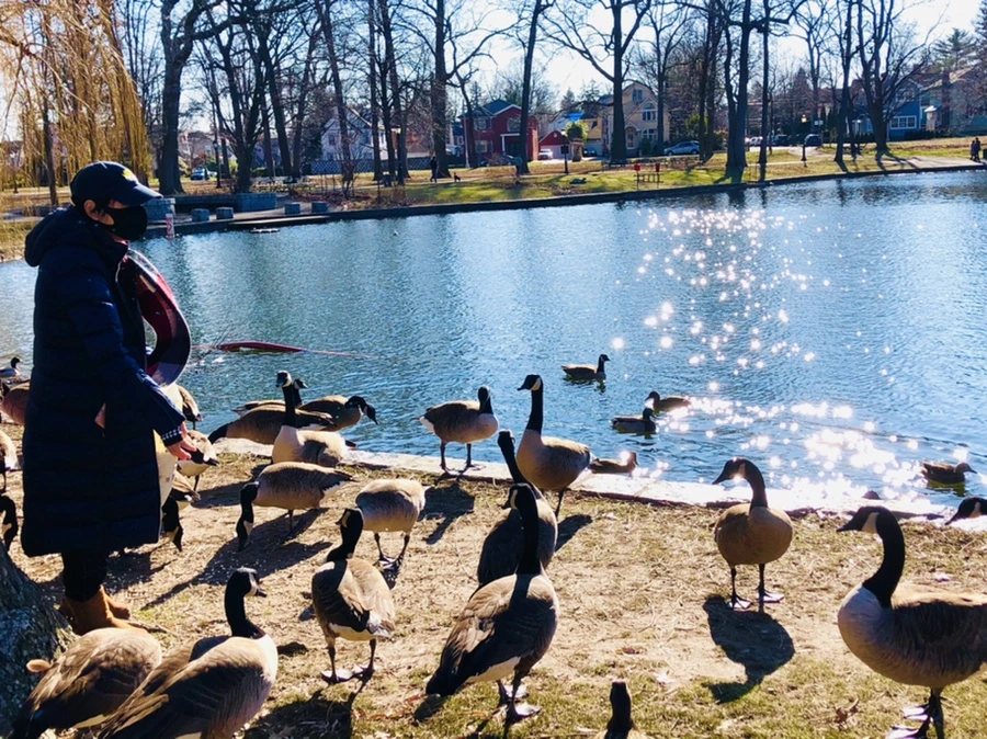 IMG_0218.jpg?type=w966