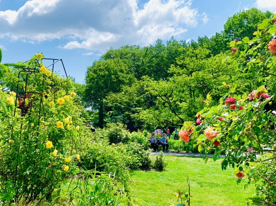 IMG_5858.jpg?type=w966