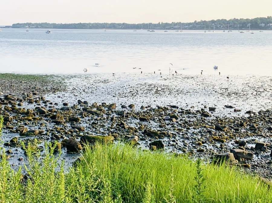 IMG_9792.jpg?type=w966