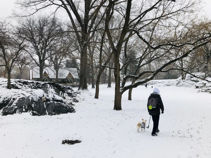 IMG_9541.jpg?type=w966