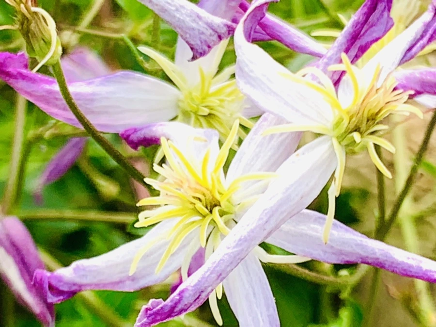 IMG_9456.jpg?type=w966