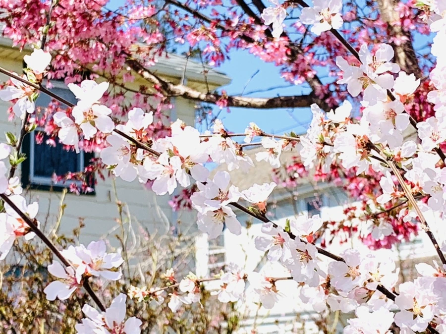 IMG_8105.jpg?type=w966