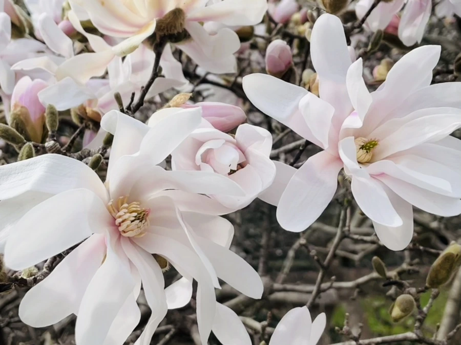 IMG_6697.jpg?type=w966