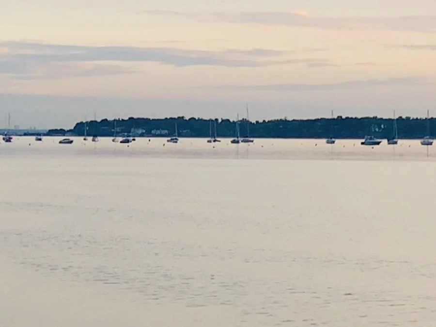 IMG_0955.jpg?type=w966