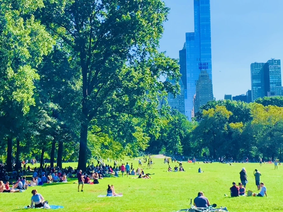 IMG_7665.jpg?type=w966