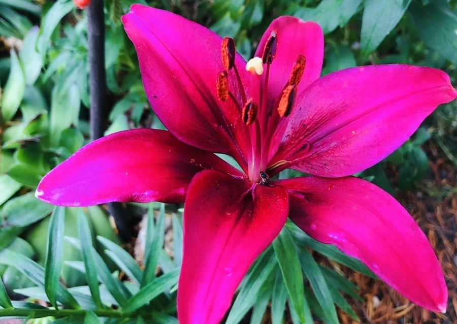 0zDI9XvhEo-KeIOba9tHf6N4O1A