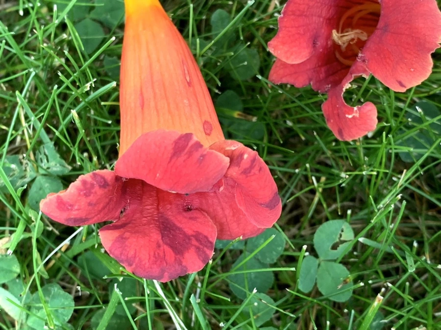 IMG_5827.jpg?type=w966