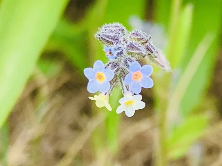 IMG_8672.jpg?type=w966