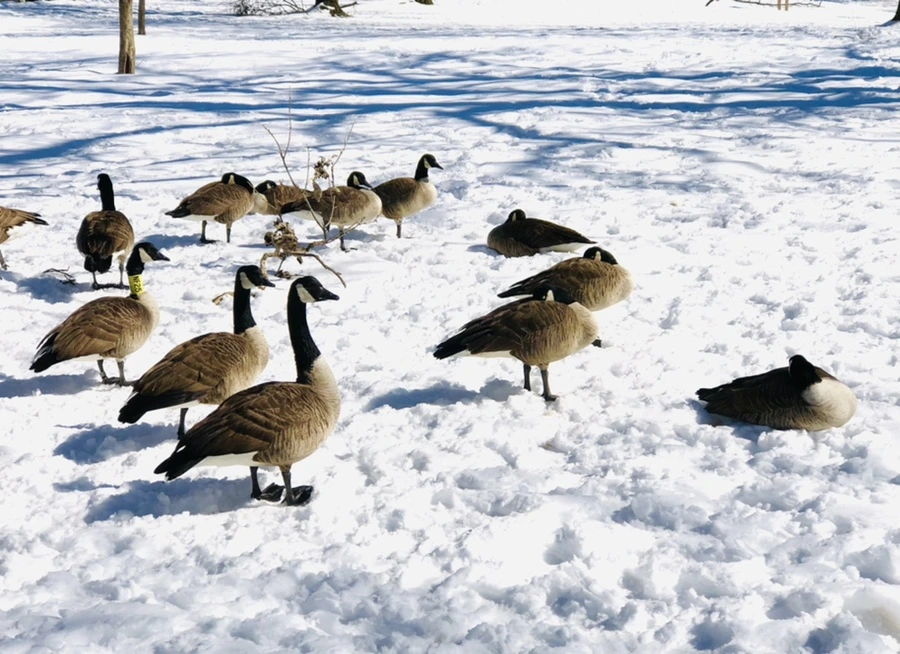 IMG_3983.jpg?type=w966