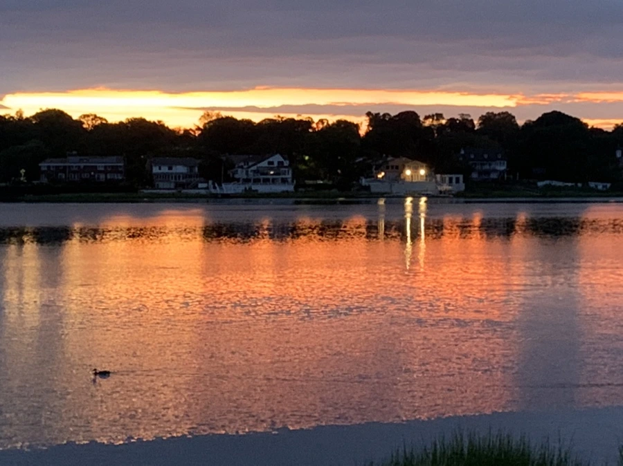 IMG_2229.jpg?type=w966