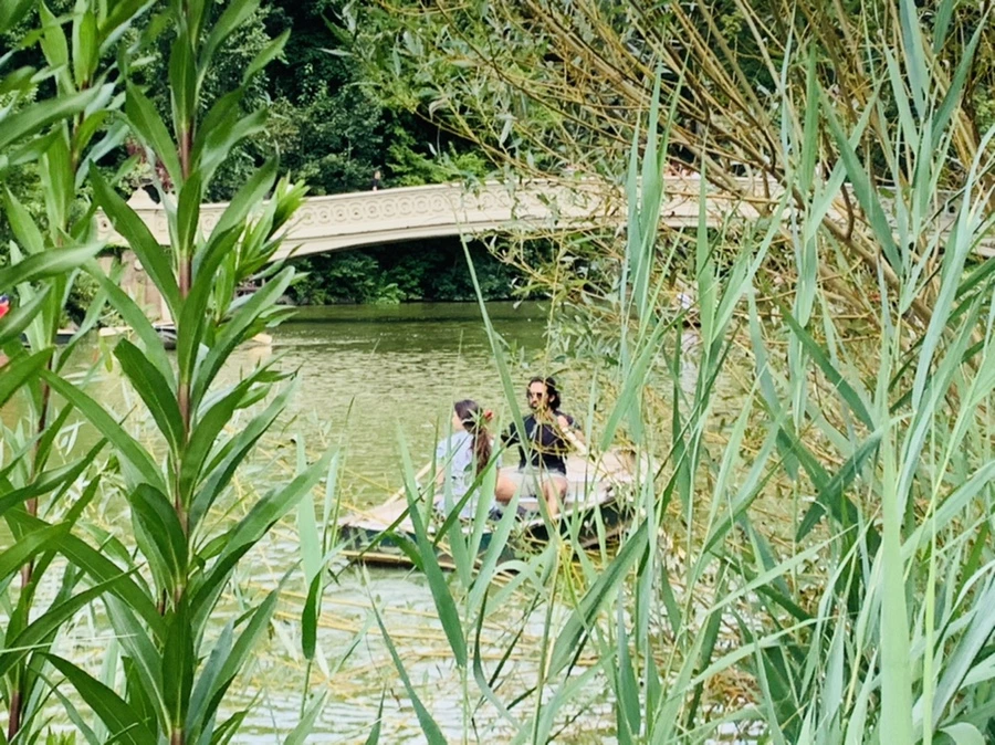 IMG_1589.jpg?type=w966