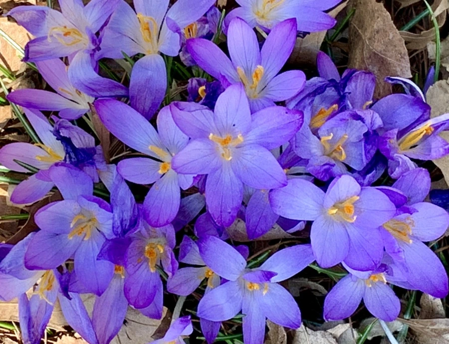 IMG_3171.jpg?type=w966