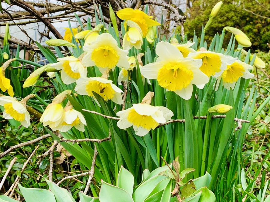 IMG_3897.jpg?type=w966