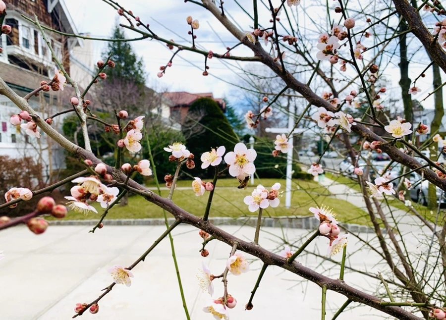 IMG_0511.jpg?type=w966