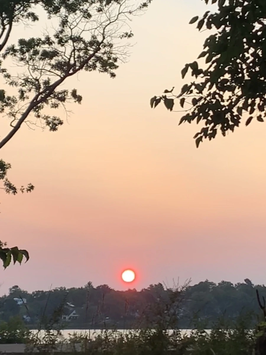 IMG_3415.jpg?type=w966