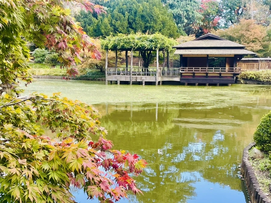 IMG_0201.jpg?type=w966