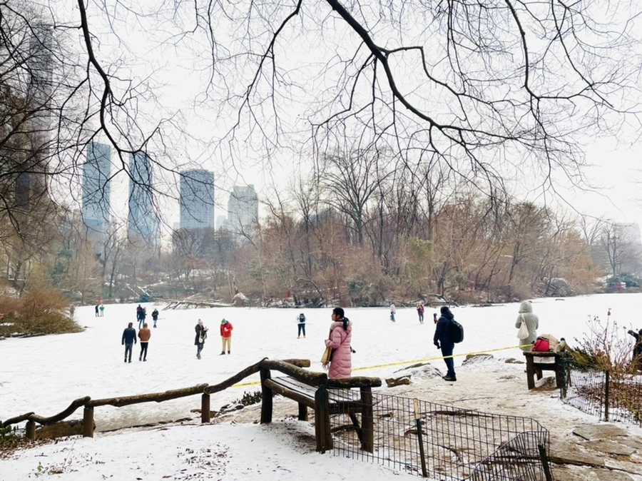 IMG_0729.jpg?type=w966