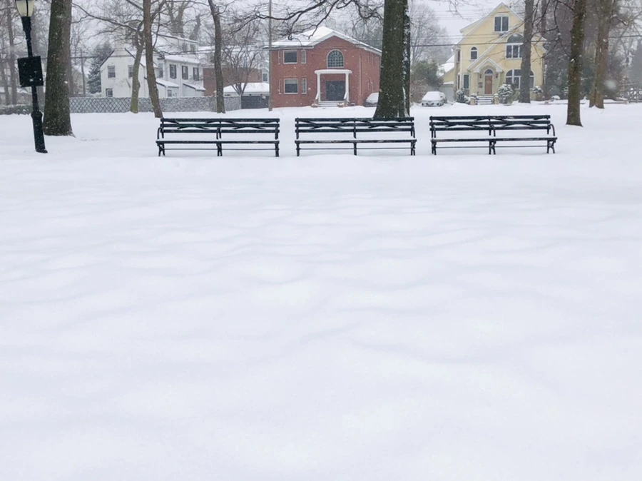 IMG_3383.jpg?type=w966