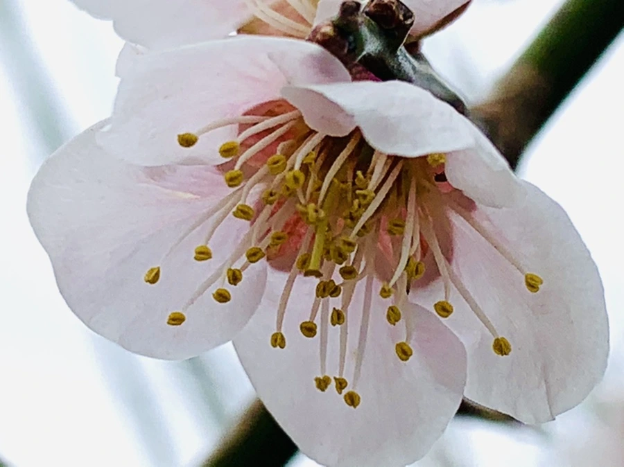 IMG_3598.jpg?type=w966