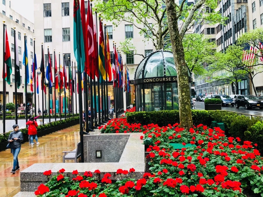 IMG_5784.jpg?type=w966