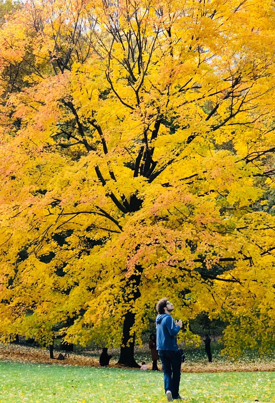 IMG_7353.jpg?type=w966