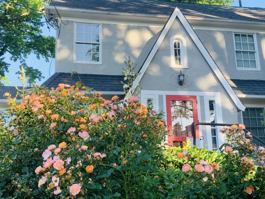 IMG_3981.jpg?type=w966