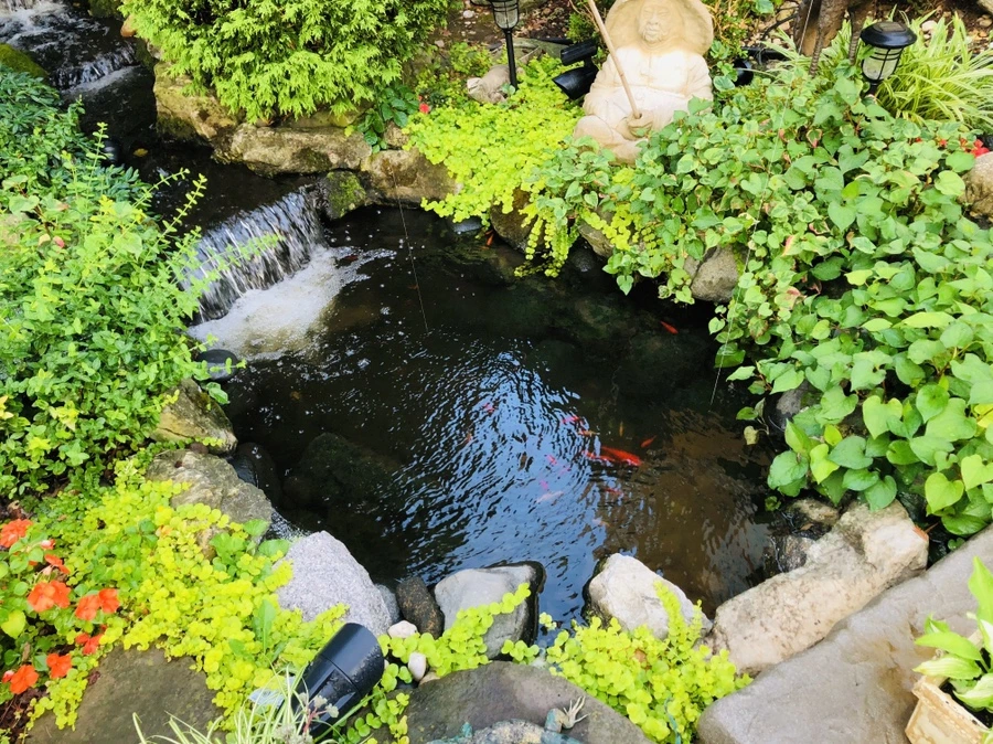 IMG_3377.jpg?type=w966