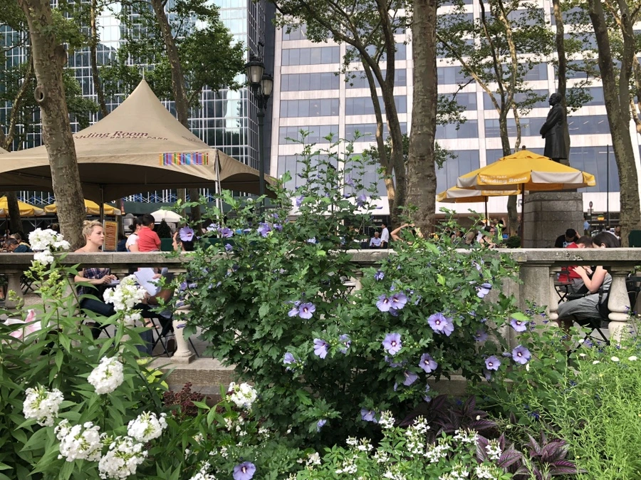 IMG_7260.jpg?type=w966