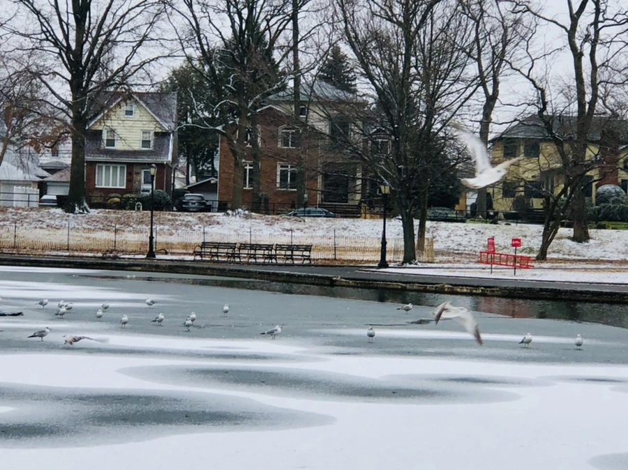 IMG_6192.jpg?type=w966