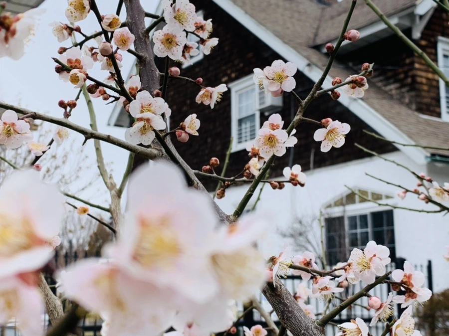 IMG_1671.jpg?type=w966