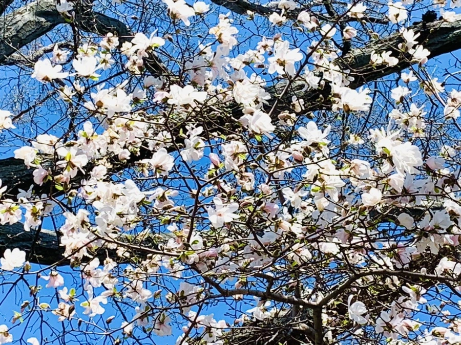 IMG_7675.jpg?type=w966