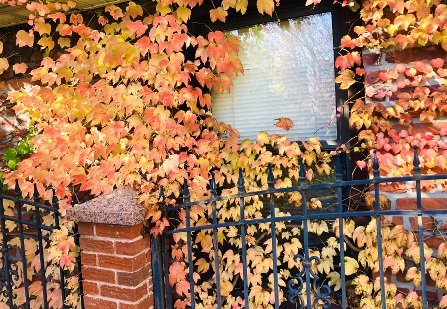 IMG_4689.jpg?type=w966