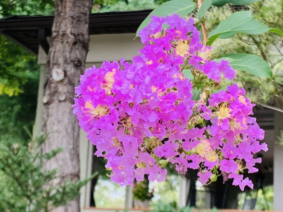 IMG_5954.jpg?type=w966