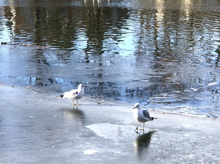 IMG_1843.jpg?type=w966