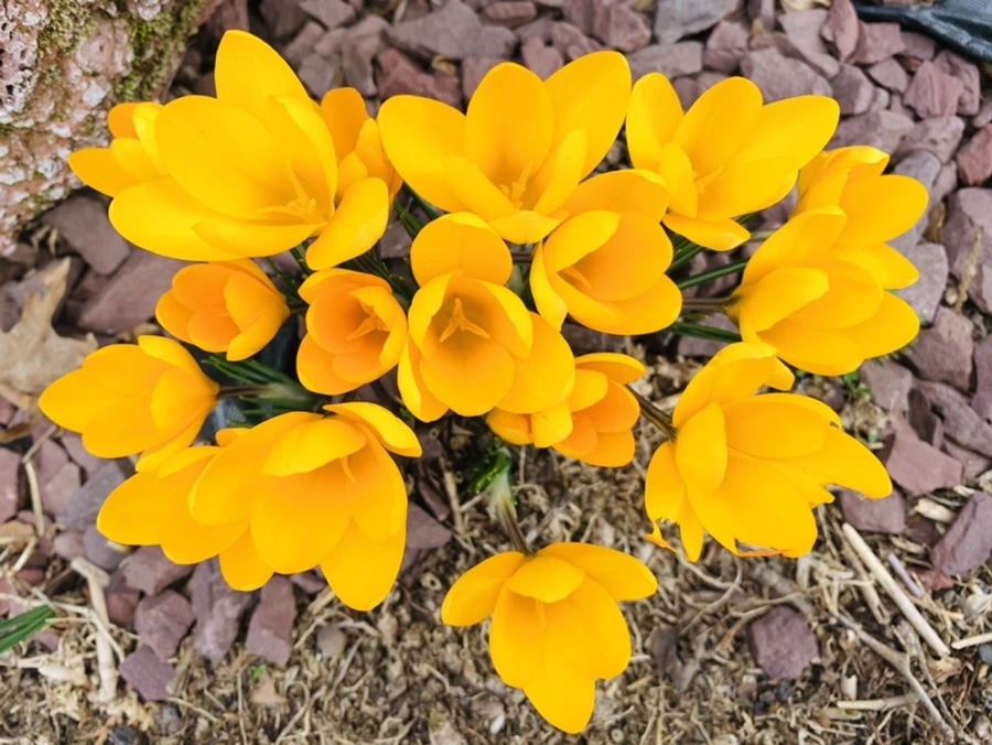 IMG_0547.jpg?type=w966