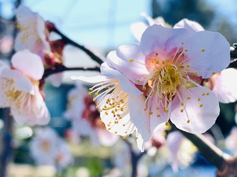 IMG_1341.jpg?type=w966