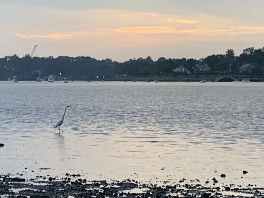 IMG_8157.jpg?type=w966