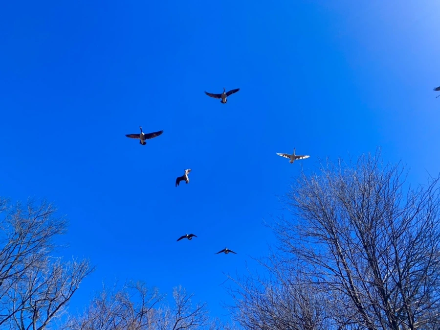 IMG_6750.jpg?type=w966