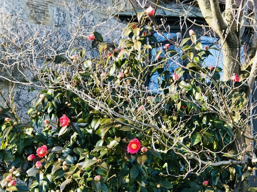 IMG_1371.jpg?type=w966