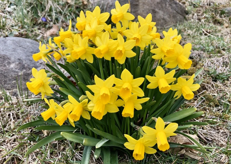 IMG_5996.jpg?type=w966