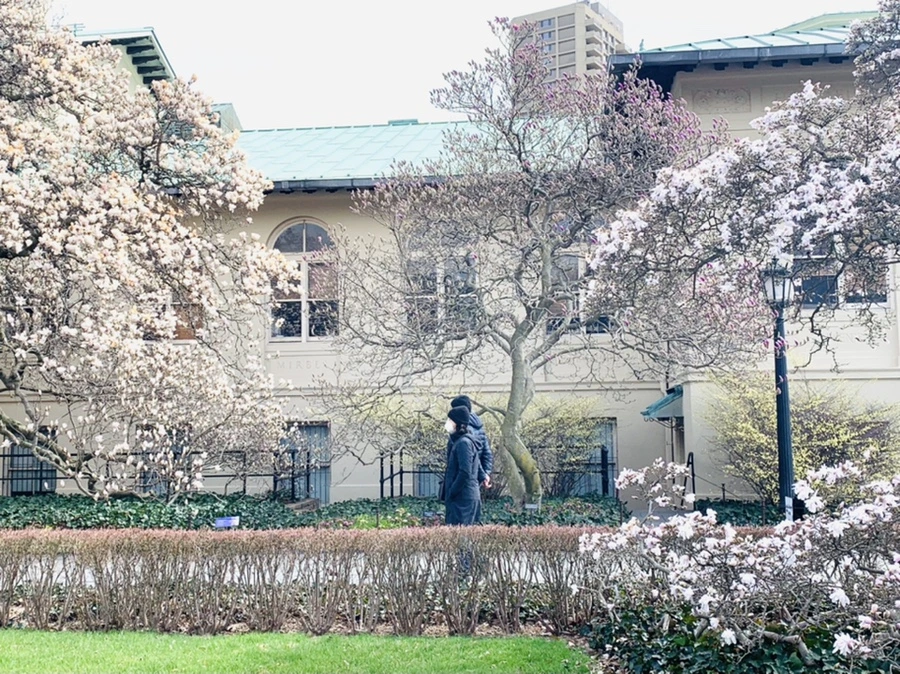 IMG_6528.jpg?type=w966