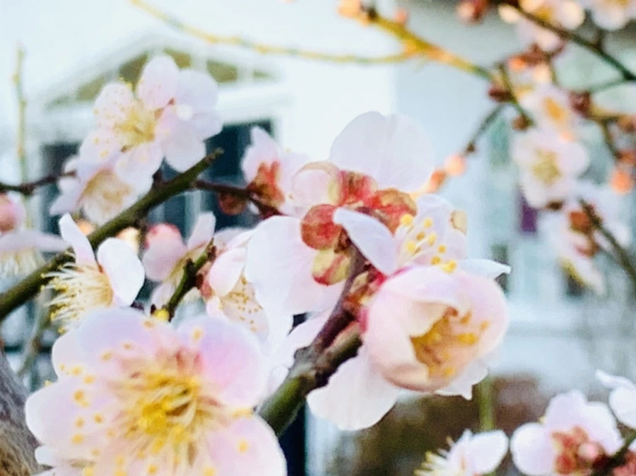 IMG_0930.jpg?type=w966