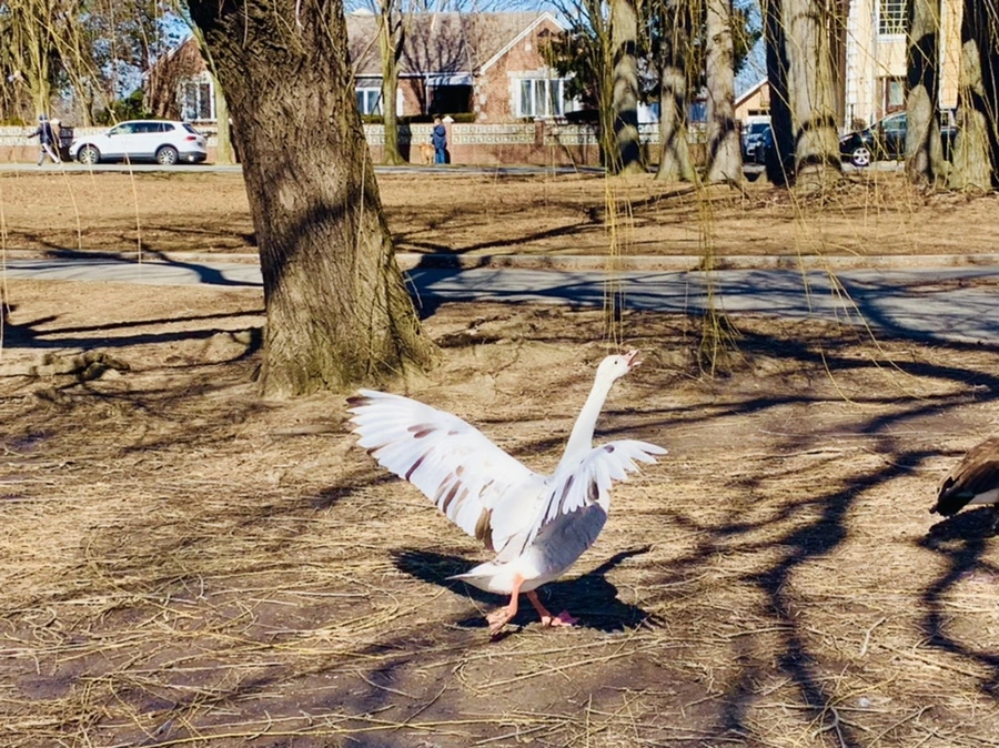 IMG_6821.jpg?type=w966