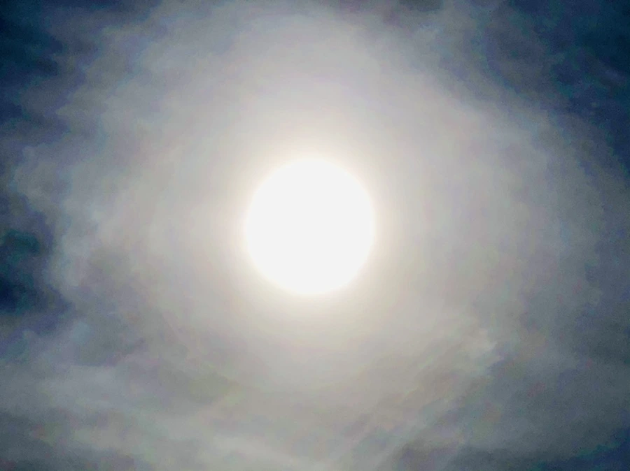 IMG_3129.jpg?type=w966