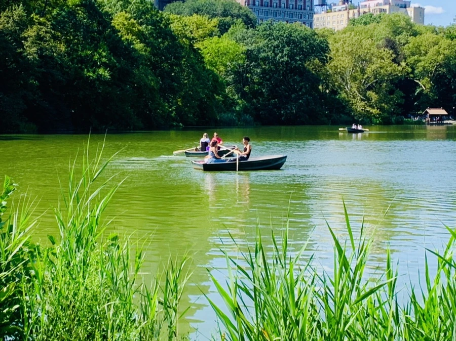 IMG_4450.jpg?type=w966