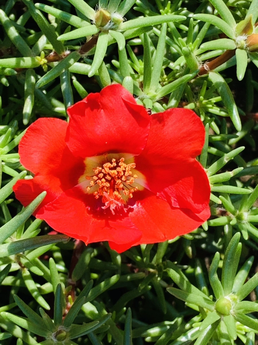 IMG_8377.jpg?type=w966